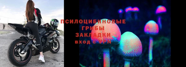 соль курить ск Касимов