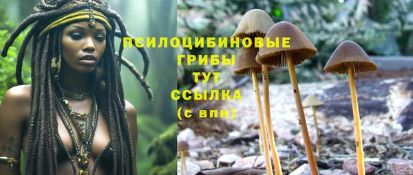 mix Карпинск