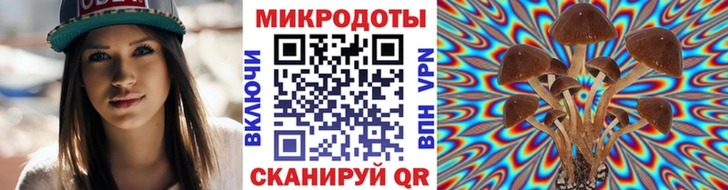 Купить где  Кувшиново  Псилоцибиновые грибы Psilocybe 